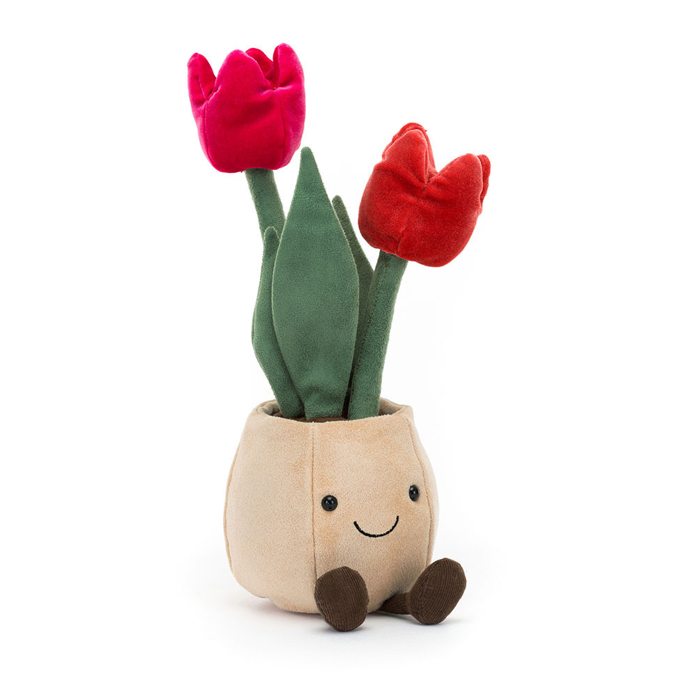 http://Amuseables%20Tulip%20Pot
