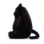 Amore Cat Black