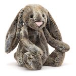 Bashful Cottontail Bunny