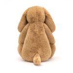 Bashful Toffee Puppy