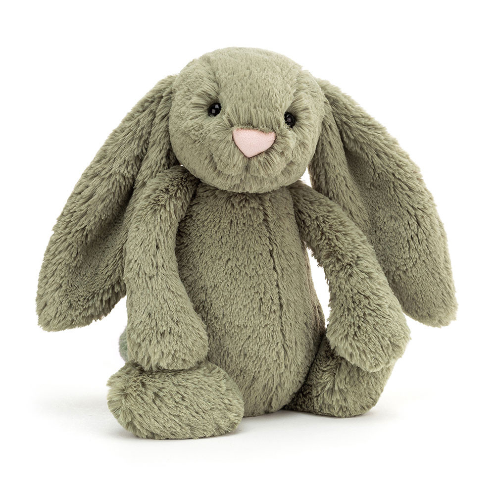 http://Bashful%20Fern%20Bunny