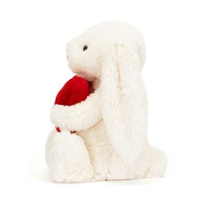 BASHFUL_RED_LOVE_HEART_BUNNY_2__16314.1712531847-1.jpg
