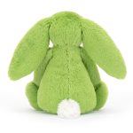 Bashful Apple Bunny