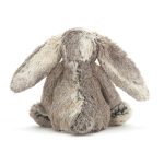 Bashful Cottontail Bunny