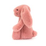 Bashful Sorrel Bunny