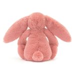 Bashful Sorrel Bunny