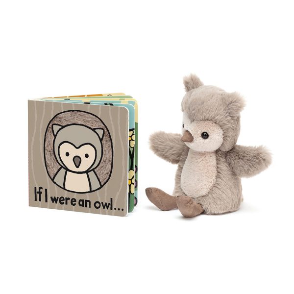 If I Were An Owl Book