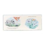 The Hiccuppy Dragon Book