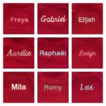 Bashful Sloth with Personalised Red Jumper