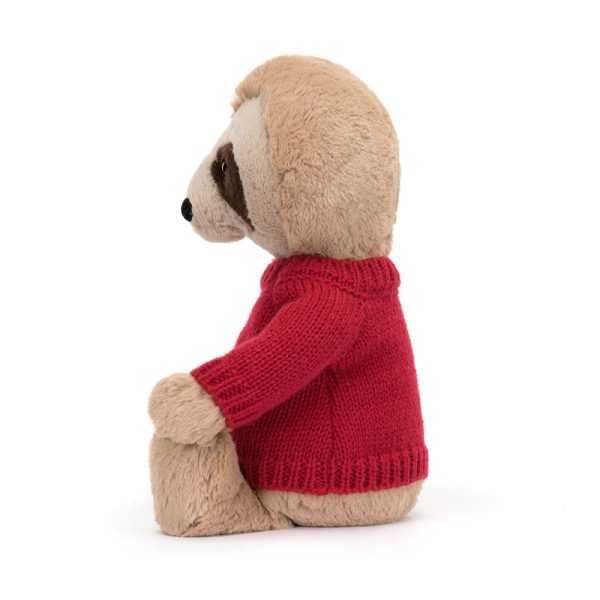 Bashful Sloth with Personalised Red Jumper
