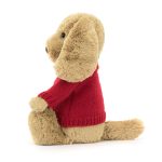 Bashful Toffee Puppy with Personalised Red Jumper