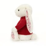 Blossom Cherry Bunny with Personalised Red Jumper