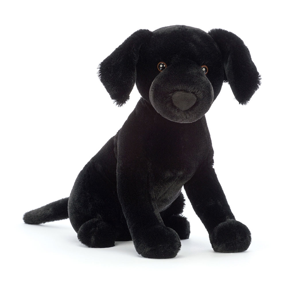 http://Pippa%20Black%20Labrador
