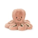 If I Were An Octopus Book and Odell Octopus Tiny