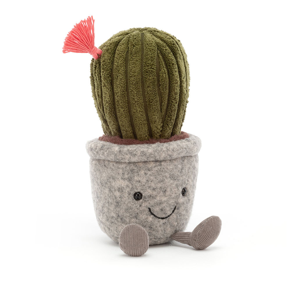http://Silly%20Succulent%20Barrel%20Cactus