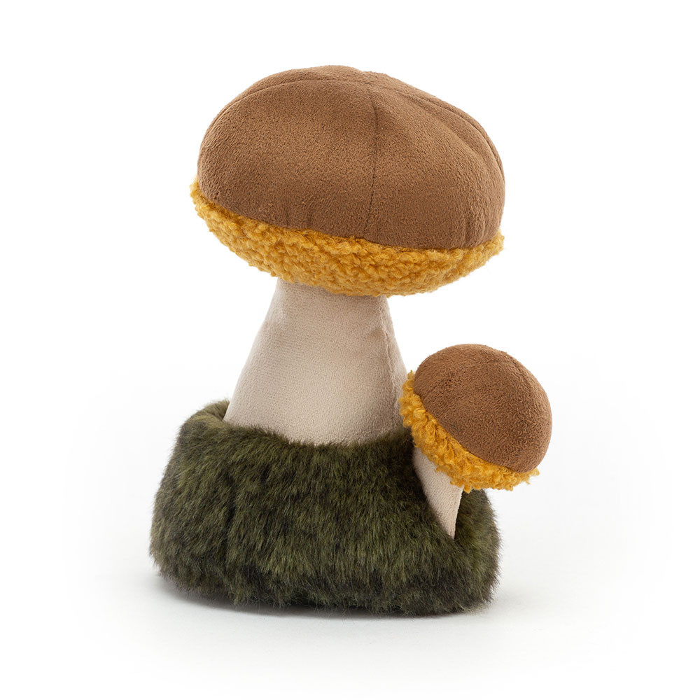 http://Wild%20Nature%20Boletus%20Mushroom