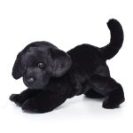 Chester Black Lab