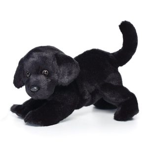 Chester Black Lab